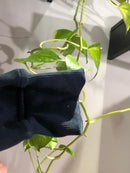 MOLETOM CANGURU CUSTOM - LETREIRO