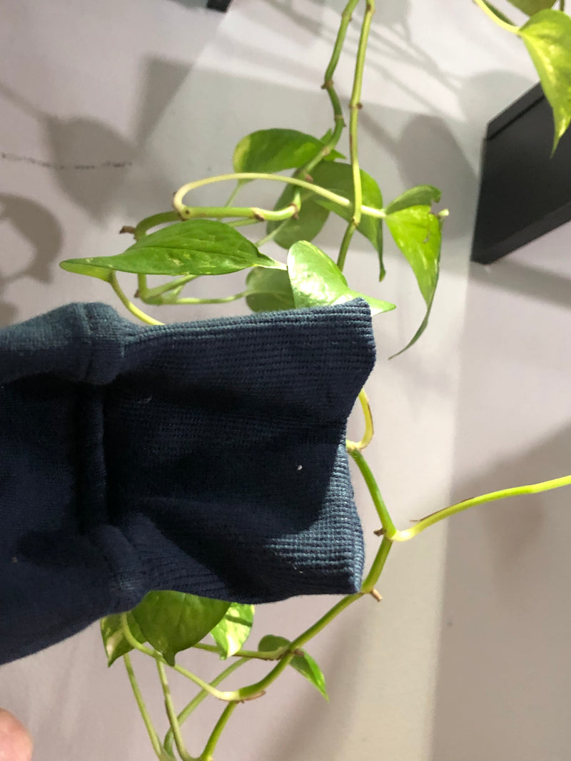 MOLETOM CANGURU CUSTOM - LETREIRO